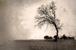 visual, auditory and kinaesthetic NLP