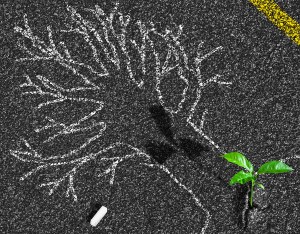 Personal-Development Self Actualisation