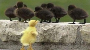 prejudice map truth NLP