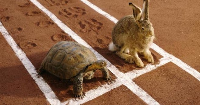 Hare-and-tortoise-on-runn-008