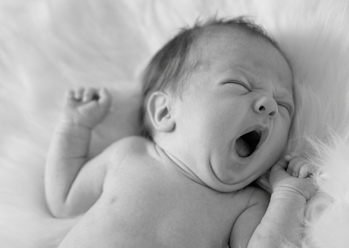 illuminateddandelion.com