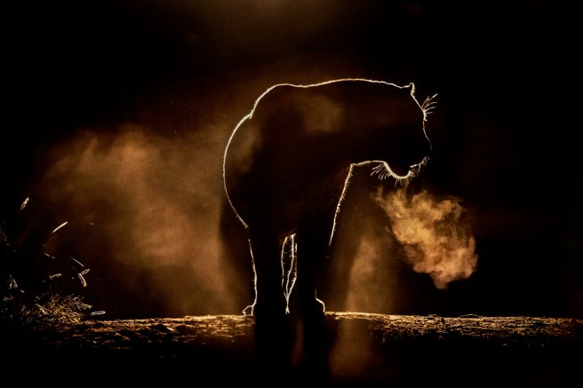 breath is the bridge...